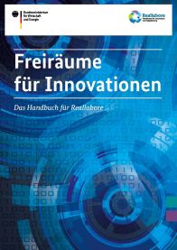 Handbuch Reallabore_Titelseite
