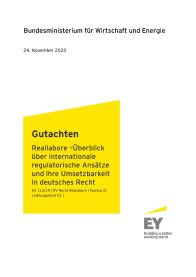 Internationale regulatorische Ansätze_Titelseite