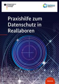 Praxishilfe zum Datenschutz in Reallaboren_Titelseite
